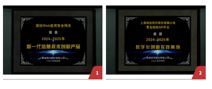 双项殊荣！派拉软件“Web应用安全网关+API安全创新实践”获2025权威奖项
