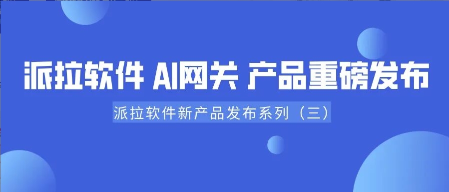 派拉新产品发布（三）｜AI 网关：重塑企业级大模型服务治理架构