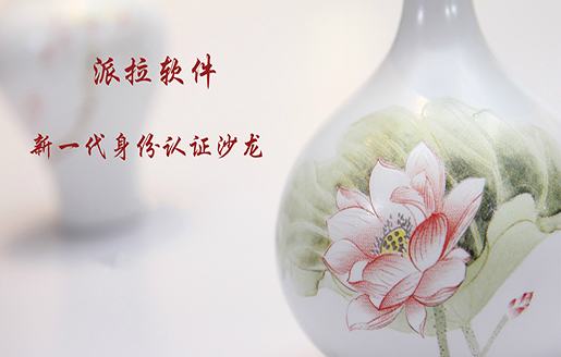 身份安全直通车 | 派拉软件新一代身份认证沙龙成功举办
